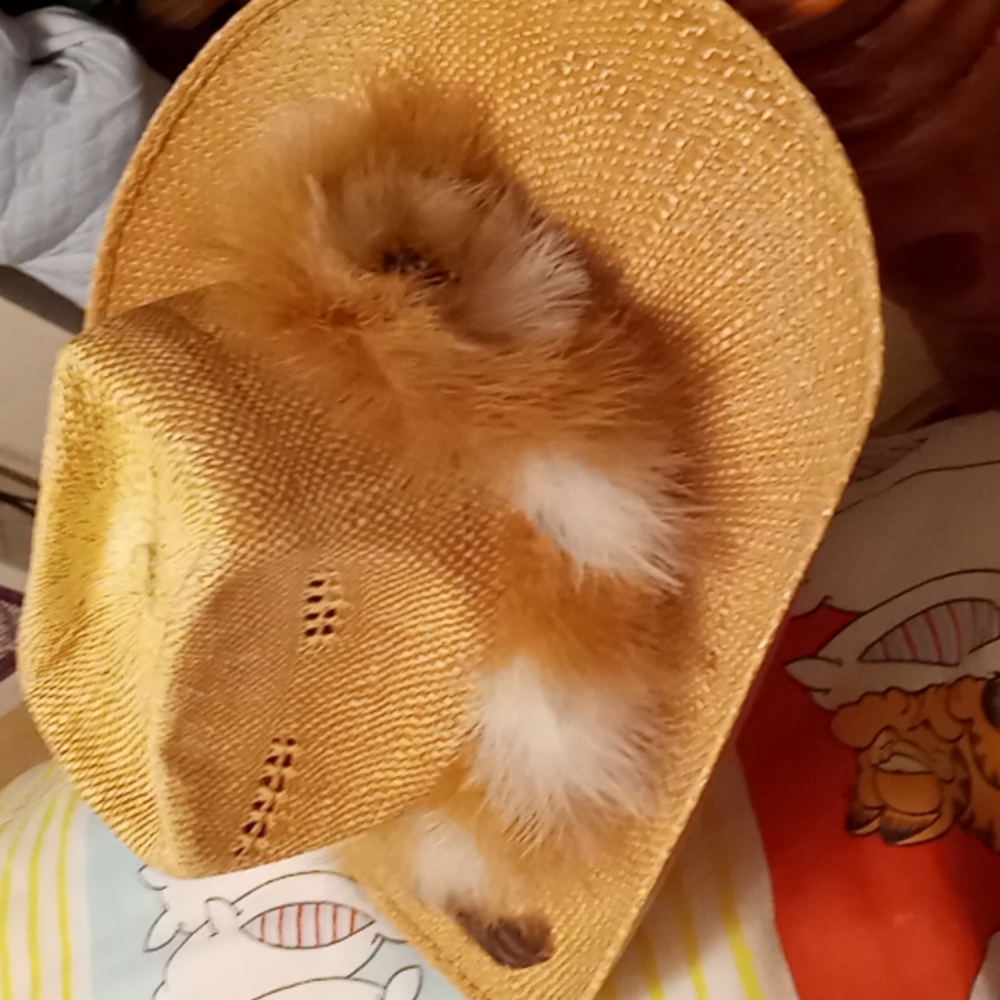 Vintage,Cowboy/Cowgirl Hat from Mexico with Unique Feather Headband - Picture 10 of 11